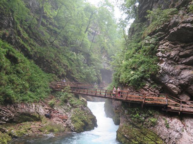 The atmospheric Vintnar Gorge, Slovenia. (HT Photo) The atmospheric Vintnar Gorge, Slovenia. (HT Photo)