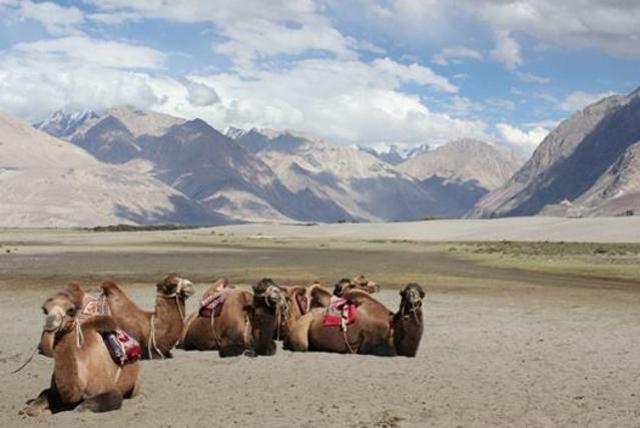 A photograph from the Kamalan Travel Photography Project