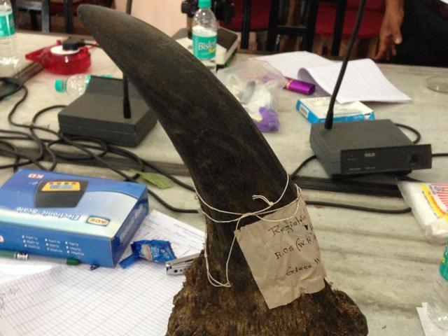 Records revealed the horn, found in August 1982, was from a rhino in the Bagori range of Kaziranga national park.(HT Photo)