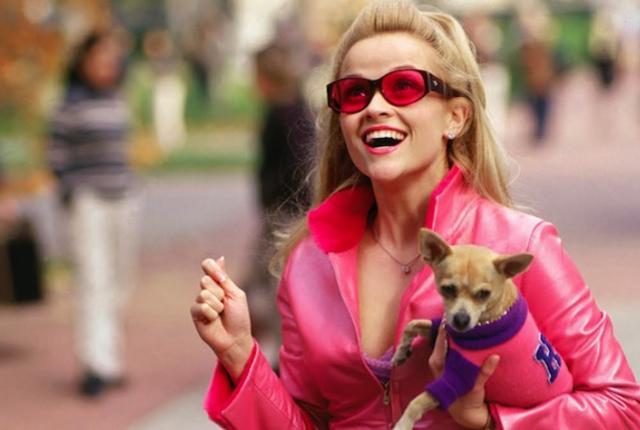 The dog in question with Reese Witherspoon.
