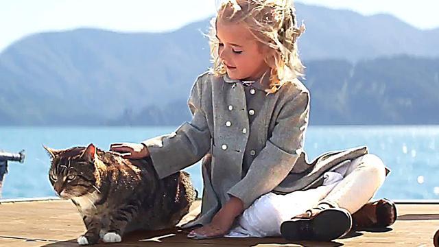 The Light Between Oceans tells a heartbreaking story. (Venice Film Festival) The Light Between Oceans tells a heartbreaking story. (Venice Film Festival)