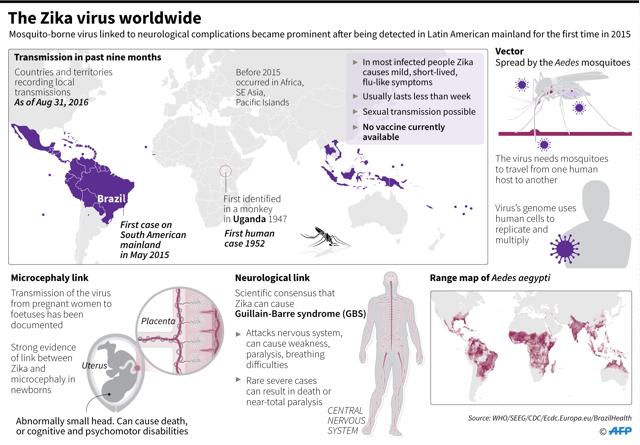 Updated graphic factfile on the Zika virus worldwide. - AFP / AFP / JOHN SAEKI (AFP) Updated graphic factfile on the Zika virus worldwide. - AFP / AFP / JOHN SAEKI (AFP)
