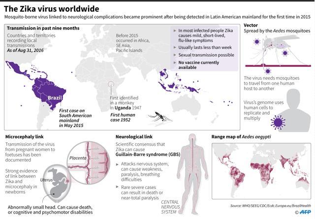 Wheres Zika Going Next Research Says Maybe China India Or Nigeria World News Hindustan Times