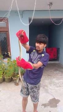 Nimish Singh Danu after capturing a rat snake. (HT Photo) Nimish Singh Danu after capturing a rat snake. (HT Photo)