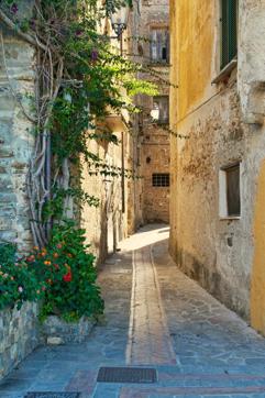Residents of Acciaroli eat rosemary, which is known to improve brain function, almost every day. And they also have a very active physical life. (Shutterstock)