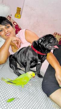 Simmi Bhambra with her pug, Candy, and rescued parakeet, Mithu. (PHOTO: SIMMI BHAMBRA) Simmi Bhambra with her pug, Candy, and rescued parakeet, Mithu. (PHOTO: SIMMI BHAMBRA)