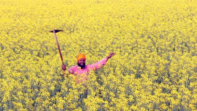 Manifestos or published verbal declaration of the intentions and motives of political parties are lying many a heap in the narrative of Punjab’s political space. (Representative image) Manifestos or published verbal declaration of the intentions and motives of political parties are lying many a heap in the narrative of Punjab’s political space. (Representative image)