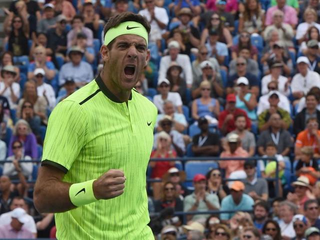 Juan Martin del Potro of Argentina celebrates a point during his win over David Ferrer of Spain. (AFP) Juan Martin del Potro of Argentina celebrates a point during his win over David Ferrer of Spain. (AFP)