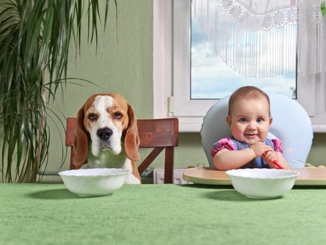 Baby keenly observe what people around them are eating. Parents, be wary!(Shutterstock)