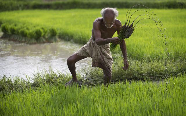 The Congress is going all out to win support among the farmers, arguably the biggest bloc of voters in Uttar Pradesh.(AP File Photo) The Congress is going all out to win support among the farmers, arguably the biggest bloc of voters in Uttar Pradesh.(AP File Photo)
