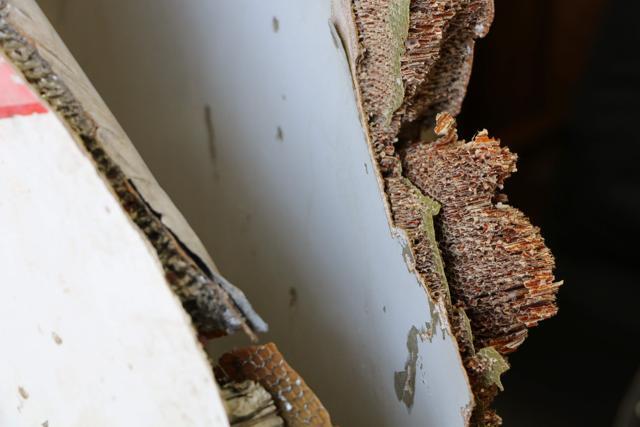 Pieces of suspected MH370 aircraft wreckage were found off the east African coast of Mozambique. (AFP Photo) Pieces of suspected MH370 aircraft wreckage were found off the east African coast of Mozambique. (AFP Photo)
