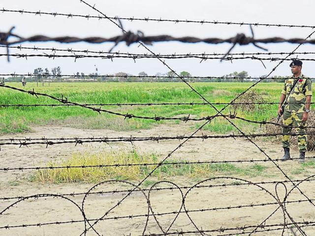 A field under the watch of a BSF jawan near the border in Amritsar district. (HT File Photo) A field under the watch of a BSF jawan near the border in Amritsar district. (HT File Photo)