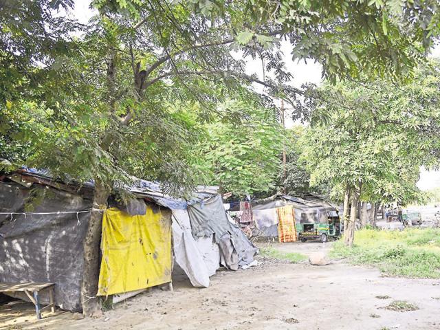 The petition has been filed by an NGO working in Ghaziabad, which said that authorities have not been taking care of green belts. (Sakib Ali/HT) The petition has been filed by an NGO working in Ghaziabad, which said that authorities have not been taking care of green belts. (Sakib Ali/HT)
