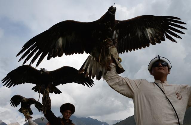 Berkutchi (eagle hunters) carry their birds, golden eagles, during the World Nomad Games 2016. (AFP Photo)