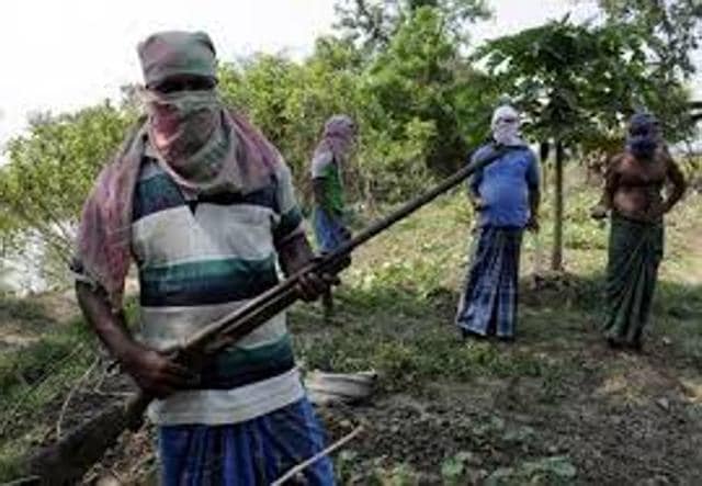 Hundreds of illagal gun making factories have mushroomed in Malda, Murshidabad, Howrah and North and South 24-Parganas, apart from other districts of Bengal. There is a network of dealers, sub-dealers and sellers supplying the guns to gangsters, middlemen, petty criminals and politicians. (Ashok Nath Dey/HT Photo) Hundreds of illagal gun making factories have mushroomed in Malda, Murshidabad, Howrah and North and South 24-Parganas, apart from other districts of Bengal. There is a network of dealers, sub-dealers and sellers supplying the guns to gangsters, middlemen, petty criminals and politicians. (Ashok Nath Dey/HT Photo)