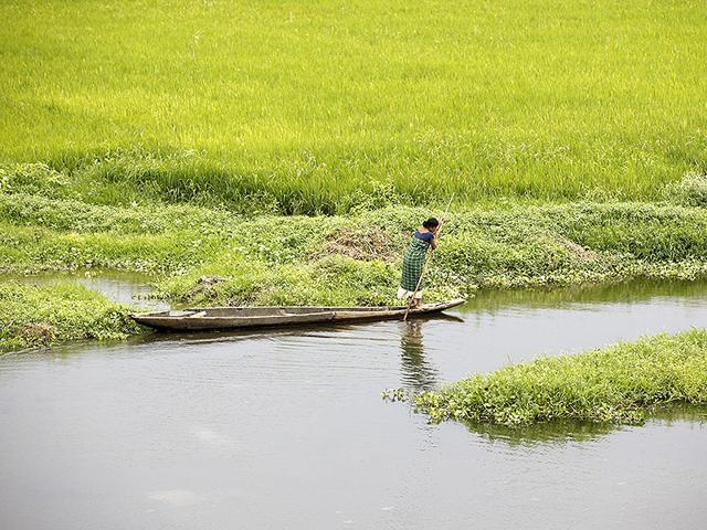 The island of Majuli is touted as the largest river island in the world. (FIle Photo)