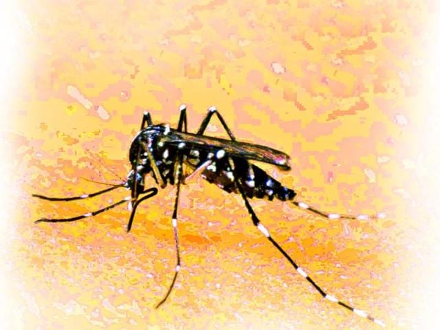 The authors suggested that resource-limited countries that have minimal travel restrictions need to use health and human resources strategically to prevent the spread of the virus. (HT File Photo) The authors suggested that resource-limited countries that have minimal travel restrictions need to use health and human resources strategically to prevent the spread of the virus. (HT File Photo)