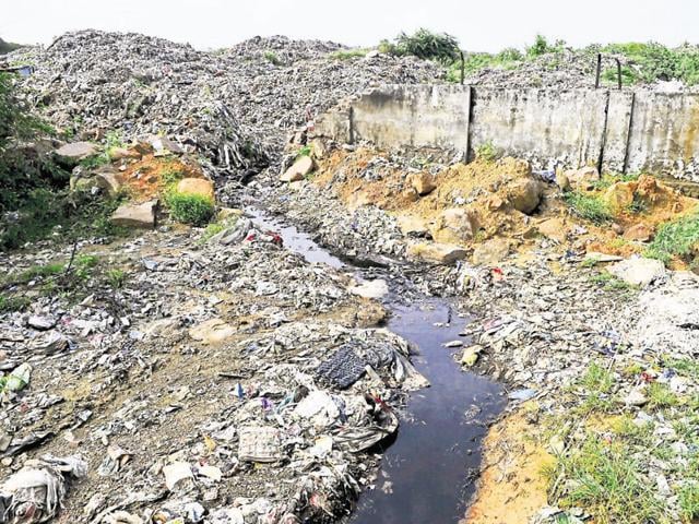 The villagers say the foul odour from heaps of rotting garbage and animal carcasses is making life tough for them. (Abhinav Saha/HT) The villagers say the foul odour from heaps of rotting garbage and animal carcasses is making life tough for them. (Abhinav Saha/HT)