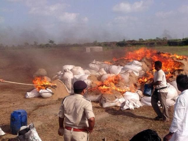 Mandsaur excise department has burnt 4,237 quintals of poppy husk in the last one week. (HT photo) Mandsaur excise department has burnt 4,237 quintals of poppy husk in the last one week. (HT photo)