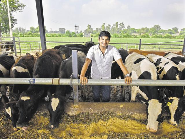 Deepak, who runs a dairy farm in Haryana’s Sonepat with his partners — Pankaj Navani and Sukhinder — says they started with 50 heifers instead of milk cows so that they could understand the animals’ growth.(Raj K Raj/HT Photo)