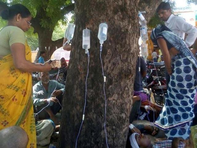 Hard-pressed medical staff have turned to two neem trees on the campus to nurse back to health a flood of fever-stricken patients. (HT Photo) Hard-pressed medical staff have turned to two neem trees on the campus to nurse back to health a flood of fever-stricken patients. (HT Photo)