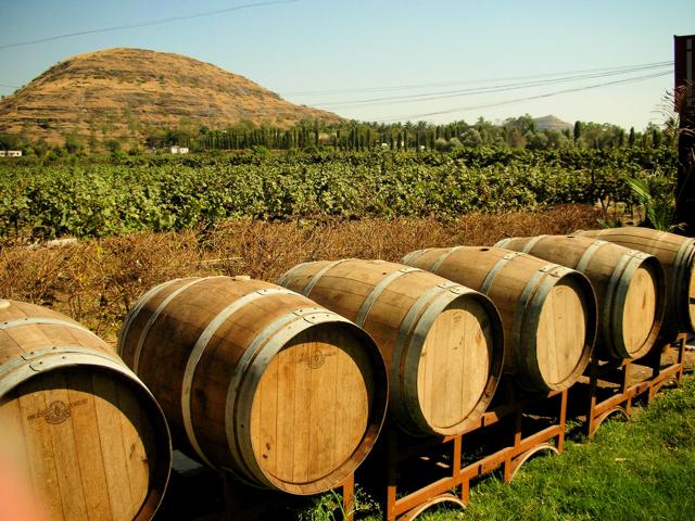 You’ll think you’re in Napa Valley, without all the pretensions. You’ll think you’re in Napa Valley, without all the pretensions.
