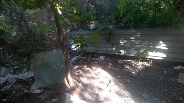 The state mangrove cell, during the inspection, found that residents had extended their boundary by 10 metre and destroyed the mangrove (HT Photo) The state mangrove cell, during the inspection, found that residents had extended their boundary by 10 metre and destroyed the mangrove (HT Photo)