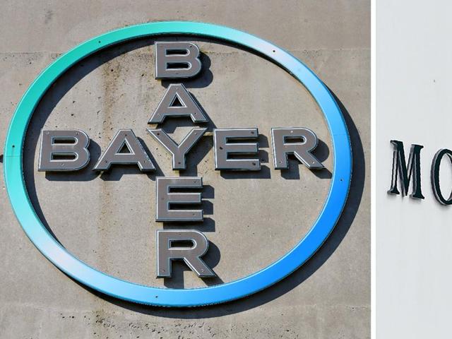This is German group Bayer’s fourth increase of its takeover offer for Monsanto (AFP) This is German group Bayer’s fourth increase of its takeover offer for Monsanto (AFP)