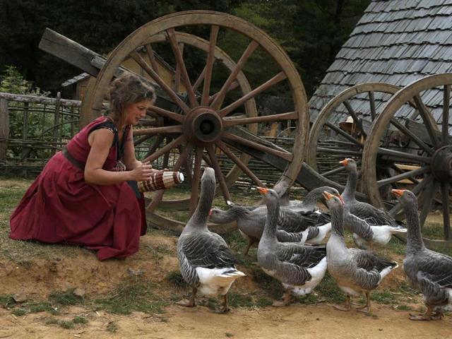 A woman plays with geese at the construction site. Around 40 people work at the site. “The point of what we’re going to do here is...also help better restore ancient heritage,” 44-year-old stonemason Clement Guerard, who has worked on the site since 1999, told Reuters. (REUTERS)