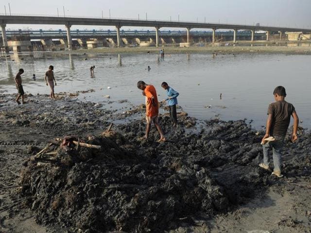 Banks of Yamuna river were being cleaned for a whole day in Noida after the end of 11-day-long Ganesh Chaturthi festival to avoid any Dengue outbreak. (Burhaan Kinu/HT PHOTO)