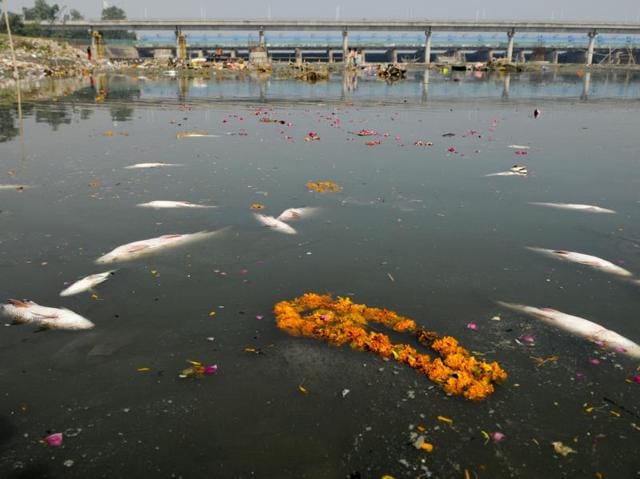 Religious offerings from devotees and leftover wooden frames, idols, earthen lamps and other debris pile up on the banks of Yamuna river after the end of Ganesh Chaturthi, in Noida on September 16, 2016. Considered one of the holiest rivers in India, the Yamuna River has been dying a slow death from pollution for decades despite the investment of millions of dollars to preserve its ecosystem. Yamuna in Delhi is almost dead with water not suitable for even bathing at most places, let alone supporting aquatic life. This is primarily due to the high ammonia levels in the high discharge of industrial pollutants in the river. (Burhaan Kinu/HT PHOTO)