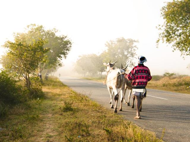 The project studied all the roads under the scheme for their length, optimal alignment and cross-drainage structures such as bridges. (Representative image) The project studied all the roads under the scheme for their length, optimal alignment and cross-drainage structures such as bridges. (Representative image)