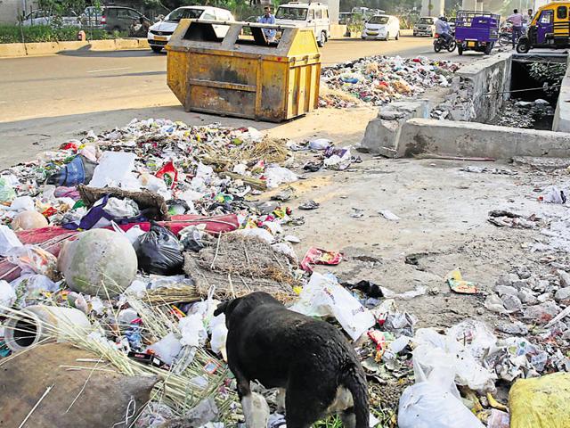 Garbage heaped near a drain on Ajmer road near Sodal in Jaipur. Rotting waste and open drains are a breeding ground for mosquitoes.(HT Photo) Garbage heaped near a drain on Ajmer road near Sodal in Jaipur. Rotting waste and open drains are a breeding ground for mosquitoes.(HT Photo)