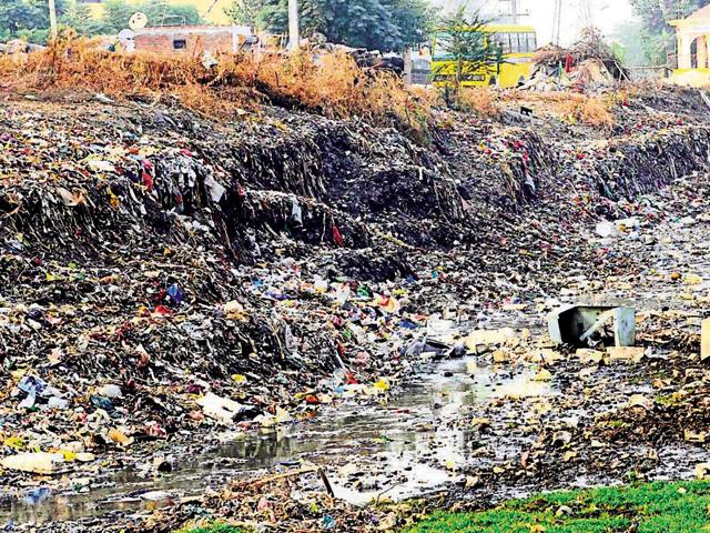 The choe near Bishan Nagar in Patiala on Sunday. (Bharat Bhushan/HT) The choe near Bishan Nagar in Patiala on Sunday. (Bharat Bhushan/HT)