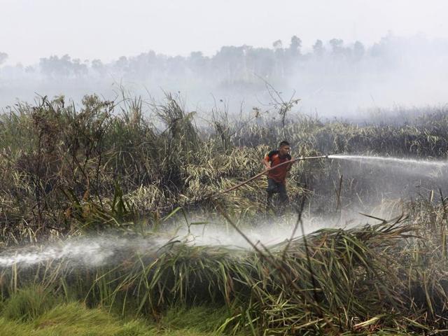 In this 2015 file photo, a fireman sprays water to extinguish wildfire on a peatland field in Ogan Ilir, South Sumatra, Indonesia. Indonesian forest fires that choked a swath of Southeast Asia with a smoky haze for weeks in 2015 may have caused more than 100,000 premature deaths. (AP) In this 2015 file photo, a fireman sprays water to extinguish wildfire on a peatland field in Ogan Ilir, South Sumatra, Indonesia. Indonesian forest fires that choked a swath of Southeast Asia with a smoky haze for weeks in 2015 may have caused more than 100,000 premature deaths. (AP)