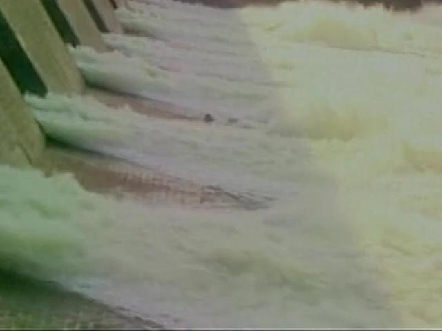 Tamil Nadu released water from the Mettur Reservoir to cultivate the samba paddy crop in the delta districts. (ANI Photo) Tamil Nadu released water from the Mettur Reservoir to cultivate the samba paddy crop in the delta districts. (ANI Photo)
