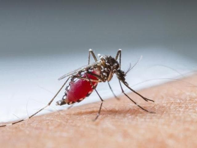 Seven residents at the Postgraduate Institute of Medical Education and Research (PGIMER) are also down with the disease. (Representative image) Seven residents at the Postgraduate Institute of Medical Education and Research (PGIMER) are also down with the disease. (Representative image)