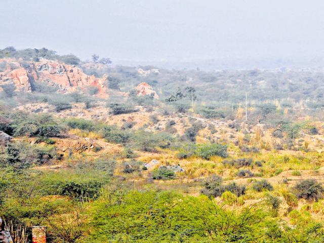 Green activists urged the National Capital Region Planning Board (NCRPB) on Tuesday to not use the exercise of defining the Aravallis as an excuse to dilute the existing green cover which is less than 4% in Hrayana. (Abhinav Saha/HT) Green activists urged the National Capital Region Planning Board (NCRPB) on Tuesday to not use the exercise of defining the Aravallis as an excuse to dilute the existing green cover which is less than 4% in Hrayana. (Abhinav Saha/HT)