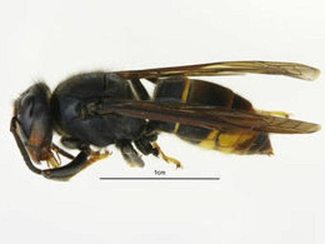 Defra Defra