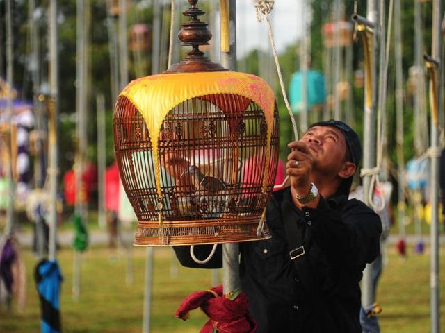 Every year Thailand holds one of its biggest bird-singing contests, which takes place in the southern province of Narathiwat. A man hoists a cage with a zebra dove during the contest in Thailand's Narathiwat on September 20, 2016. (AFP)