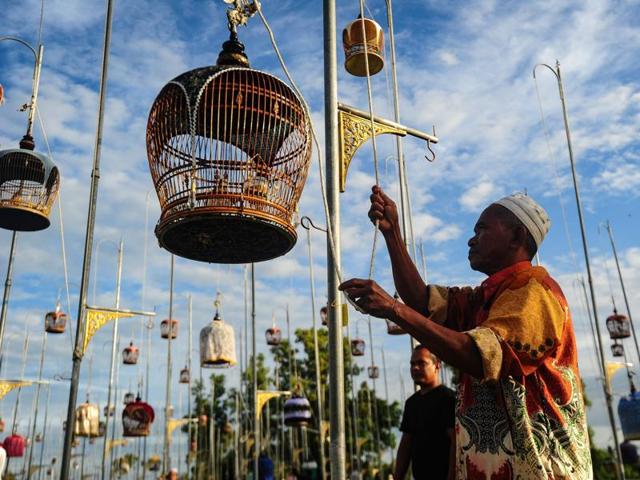 The birds are put in ornate bamboo cages which are covered with bright, coloured fabric. A man hoists a cage with a zebra dove during the contest. (AFP)