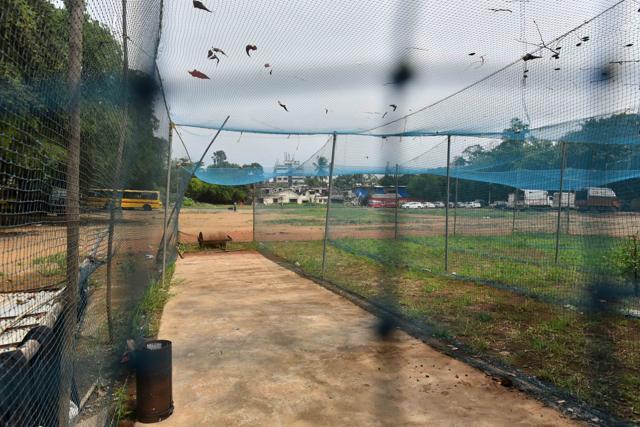 Manav Kaul used to play cricket with fellow actos Kay Kay Menon and Lalit Sathe at this ground (Vidya Subramanian/HT )
