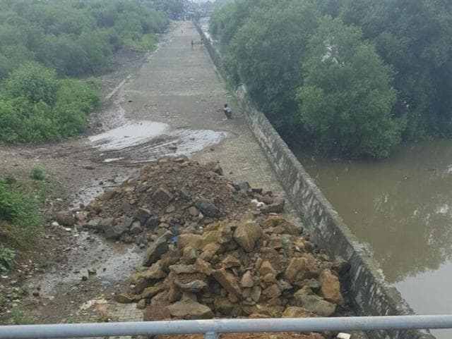The debris that was dumped on the mangroves on Thursday. (HT Photo) The debris that was dumped on the mangroves on Thursday. (HT Photo)