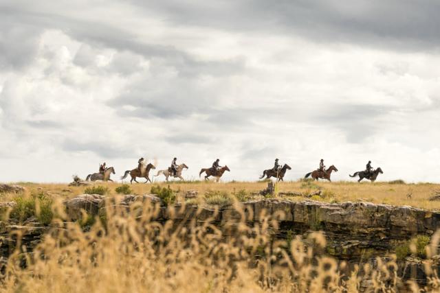 Count the horses. Count the horses.