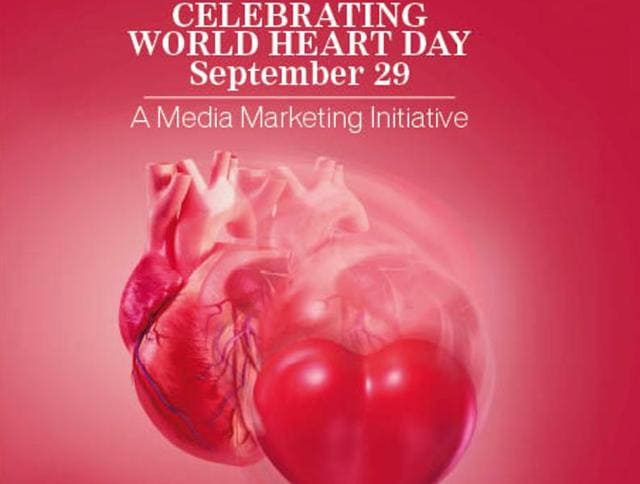An actual heart is hardly as pretty as its pictorial representation