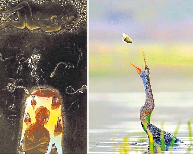 On display at Punjab Kala Bhawan, the painting, ‘Life’, and (right) a photograph of a Darter tossing fish. (MAHESH PRAJAPATI/HEMANT KUMAR) On display at Punjab Kala Bhawan, the painting, ‘Life’, and (right) a photograph of a Darter tossing fish. (MAHESH PRAJAPATI/HEMANT KUMAR)