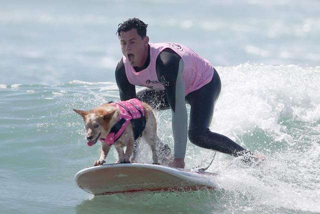 A man surfs with his dog. (REUTERS) A man surfs with his dog. (REUTERS)
