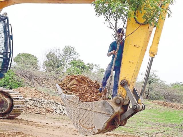 Trees being shifted from the path of the Mega Highway road construction project in Hindauti region of Bundi district.(AHZaidi/ HT Photo) Trees being shifted from the path of the Mega Highway road construction project in Hindauti region of Bundi district.(AHZaidi/ HT Photo)