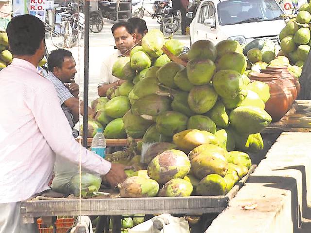 A piece of tender coconut that was earlier being sold at Rs 30 is now available for Rs 40-45.(Rahul Grover/HT Photo)