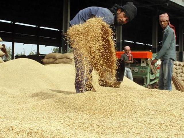 As the procurement affects every farmer and farm worker, comprising more than 60% of total population, the state government began preparation for procurement in July, much ahead of the schedule, seeking CCL and arranging gunny bags.(Representative image) As the procurement affects every farmer and farm worker, comprising more than 60% of total population, the state government began preparation for procurement in July, much ahead of the schedule, seeking CCL and arranging gunny bags.(Representative image)